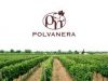 CANTINA POLVANERA